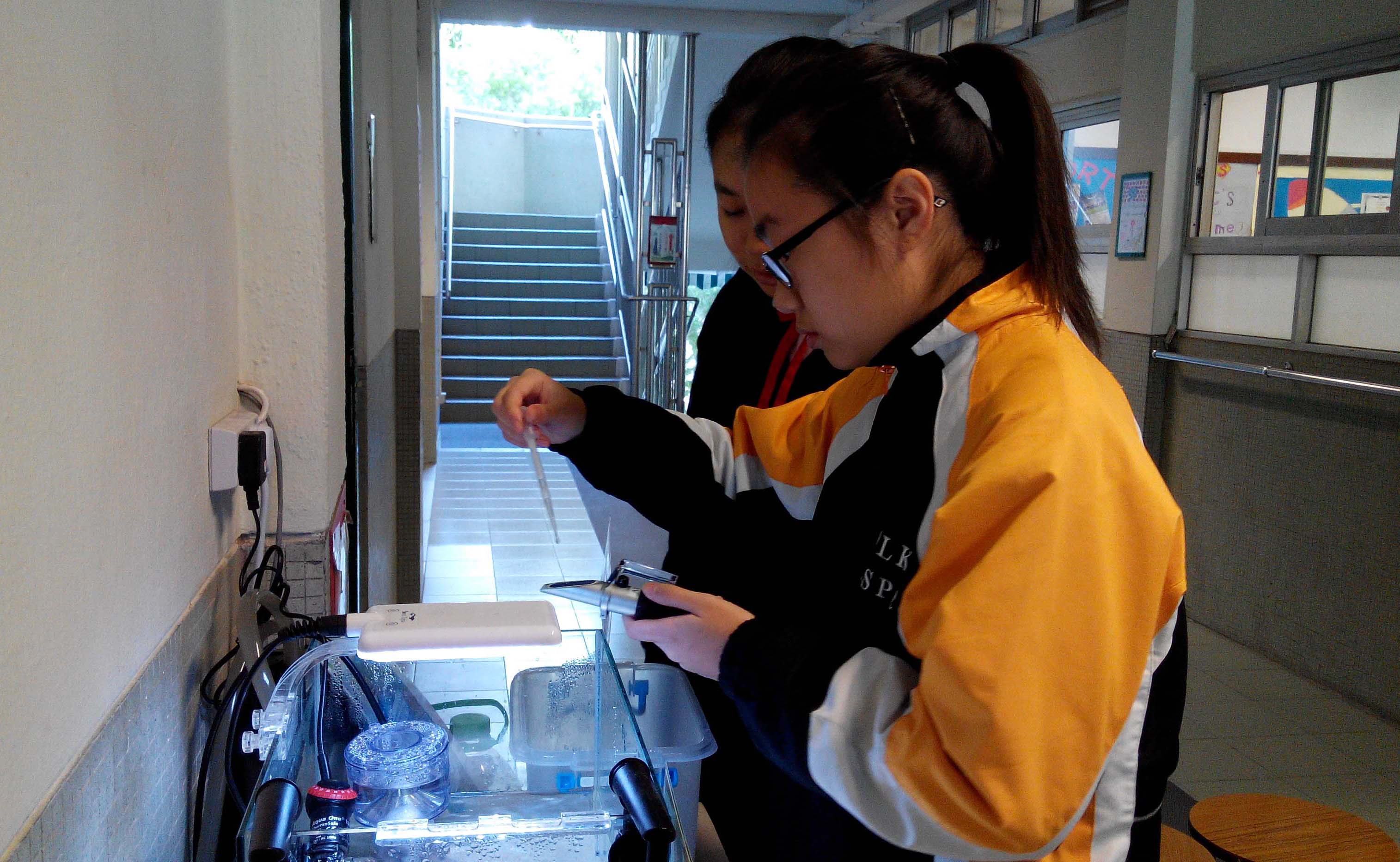 Juvenile Horseshoe Crab Rearing Programme OPCFHK